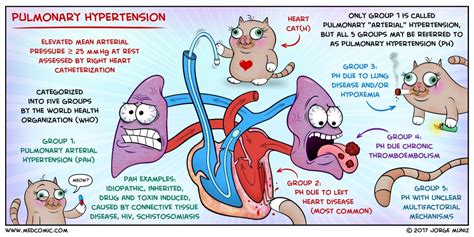 Pulmonary Venous Hypertension