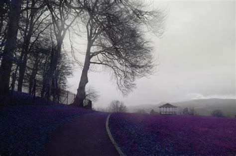 Purple haze by Eternalist1 on DeviantArt