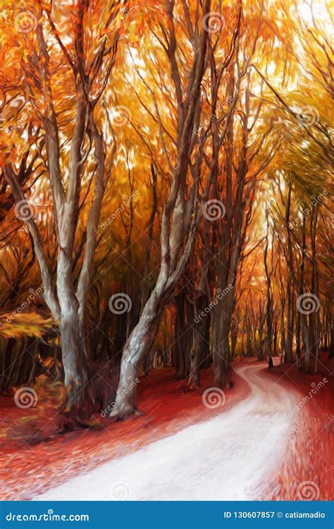 Autumn Forest Digital Painting Stock Illustration - Illustration of ...