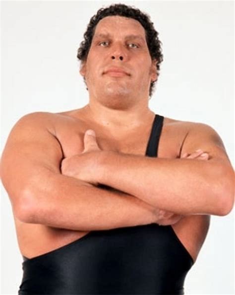 Andre The Giant: Profile & Match Listing - Internet Wrestling Database ...