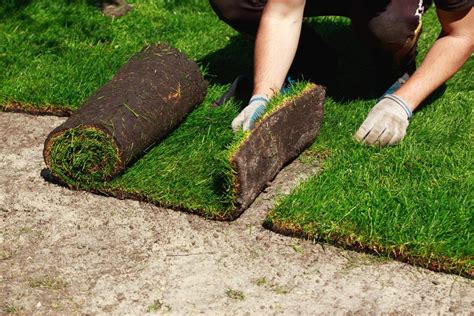 Sod Installation Guide – The 6 Main Steps to Installing Sod For Your Lawn…