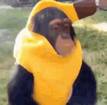 Monkey With Bananas GIFs | Tenor