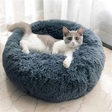 Tucker Murphy™ Pet Luxury Fluffy Pet Bed For Cats Round Cat Bed Cuddler ...