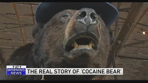 9 @ 9: The real story of ‘Cocaine Bear’ | WGN-TV