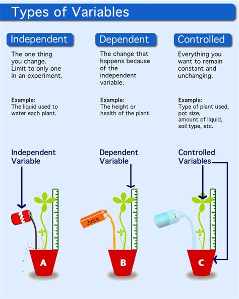 description of independent variable, dependent variable, and control ...