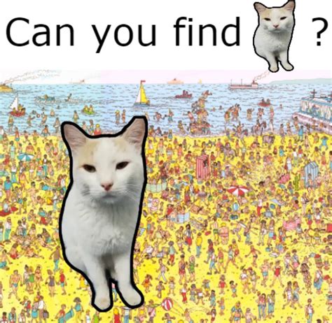 Where is he guys i cant find him. (my cat btw) - Meme by susboi1234 ...