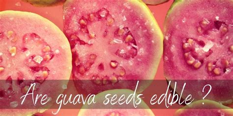 Are Guava Seeds Edible ? Here's What We Know - Foodiosity