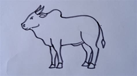 How to draw ox easy/ox(cow) drawing step by step/ox or pull line ...