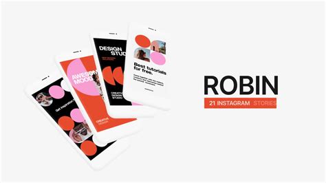 Robin Instagram Stories Pack Rapid Download 35110179 Videohive After ...