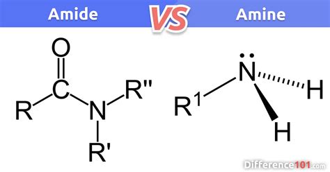 👩🏻‍🔬 Amide vs Amine: 6 Key Differences, Similarities, Pros & Cons ...