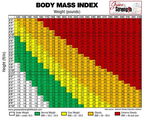 Body Mass Index Chart In Stones at Janet Bauer blog