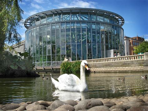 Mowbray Park Pond Swan and Winter Gardens Sunderland | Flickr