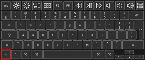 Fn Key On Keyboard : Why Function Keys Are Useful : These keys perform ...