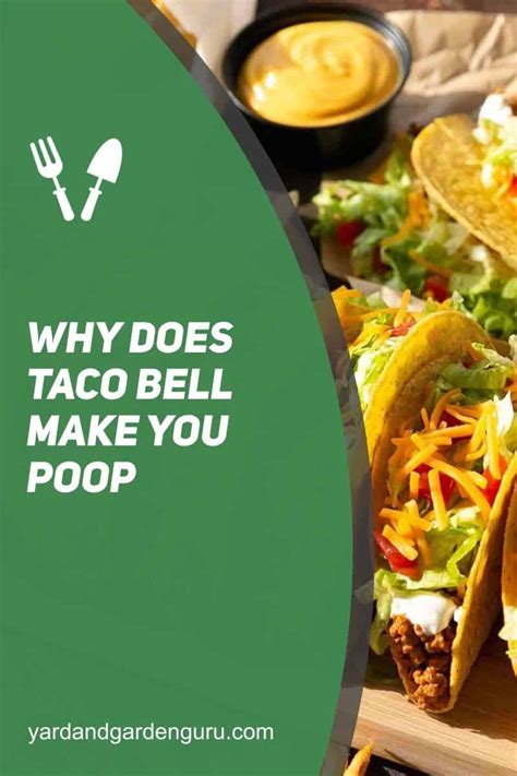 Why Does Taco Bell Make You Poop