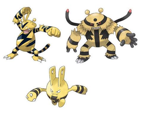 Elekid, Electabuzz & Electivire | Pokemon, Olhos de lobo