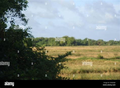 Beautiful landscape photography in Sri Lanka. Visit Sri Lanka Stock ...