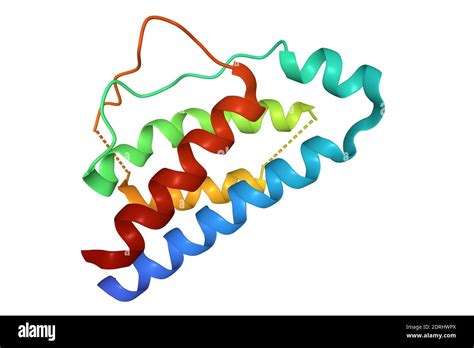 Structure of human interleukin-2, 3D cartoon model isolated, white ...