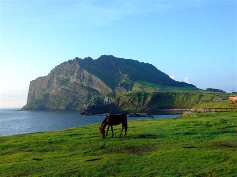 The best things to do and see in Jeju Island