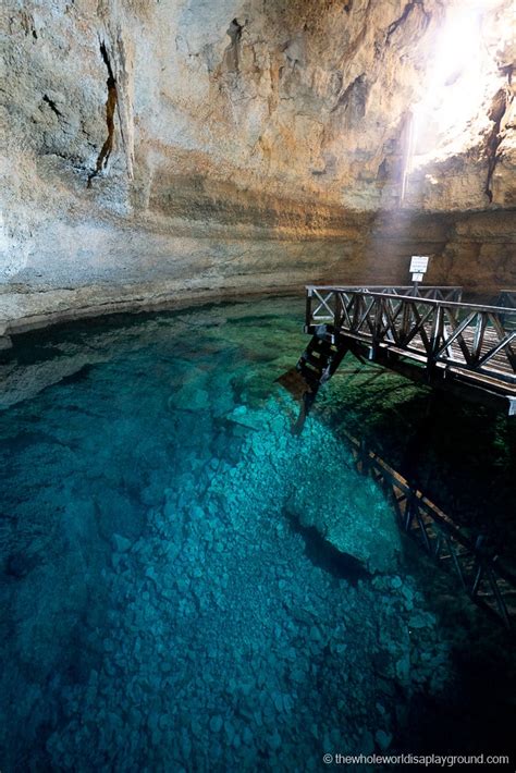 13 Best Cenotes near Playa Del Carmen (2020) | The Whole World Is A ...