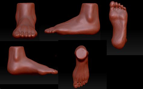 ArtStation - Foot 3D Model