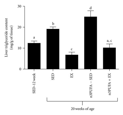 Hepatic fat storage. Fat accumulation in the liver as shown by liver ...