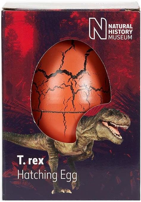 Natural History Museum T. rex Hatching Egg in a Box : Amazon.co.uk ...