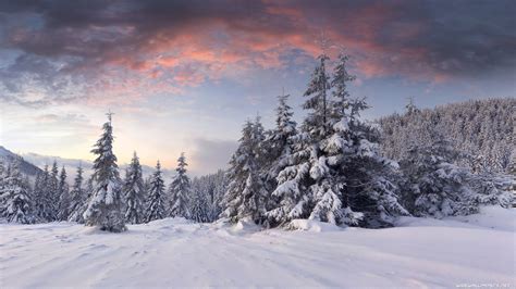 Winter Landscape Wallpaper / Lakeside Winter Landscape Hd Wallpaper ...