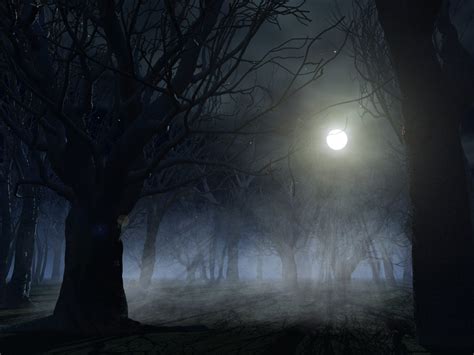 Spooky Forest Wallpaper - WallpaperSafari