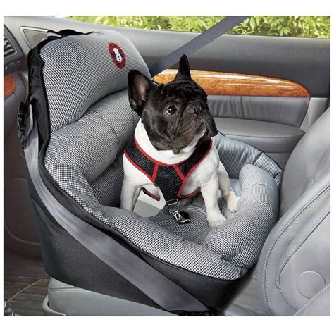 Crash-Tested Safety Seat - Dog Beds, Gates, Crates, Collars, Toys, Dog ...