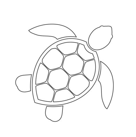 Aboriginal Turtle Outline