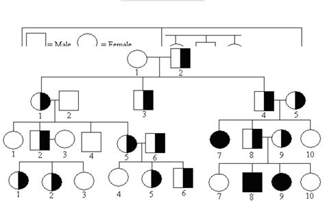 Pedigree Chart Practice With Answers