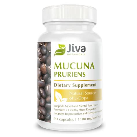 Jiva Botanicals - Mucuna Pruriens Capsules 1100 mg - Precursor to ...