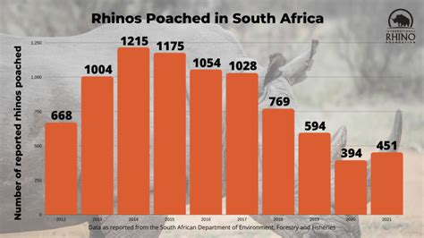 Poaching In South Africa Increased By 15% In 2021 After Covid ...