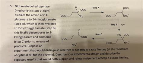 Solved 5. Glutamate dehydrogenase (mechanistic steps at | Chegg.com