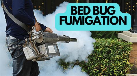 A Comprehensive Guide to Bed Bug Fumigation - PestControlFacts.com