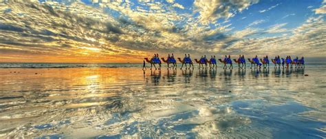 Broome Camel Safaris | Sunset Camel Rides Cable Beach