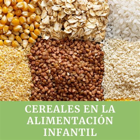 Cereales en la alimentación infantil – Nerea Pediatra