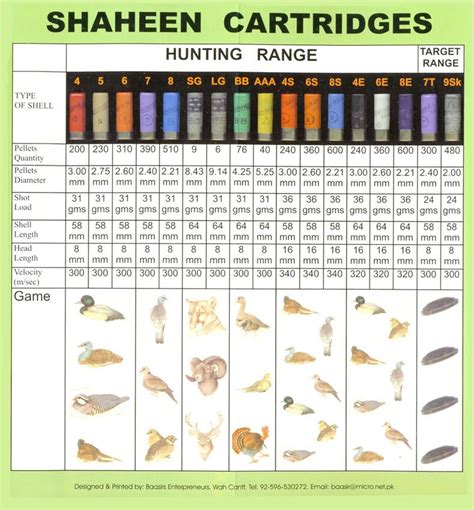 12 Gauge Shotgun Shell Shot Size Chart