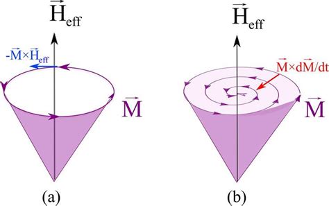 Illustration of (a) the precession of a magnetic moment about an ...