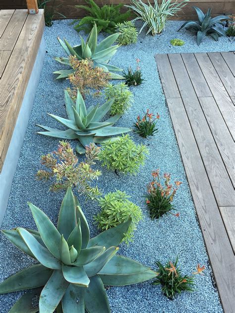 Awesome Awesome Container Garden with Succulents: 45+ Best Design Ideas ...