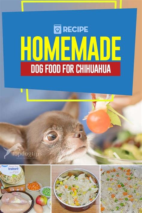 Homemade Dog Food for Chihuahua Recipe and Feeding Guide