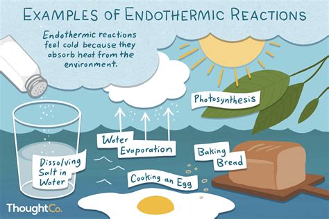 Endothermic Reaction Examples