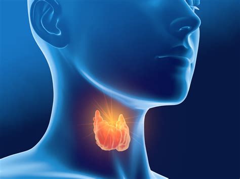 Thyroid Gland and Tumours | Kent ENT Partnership