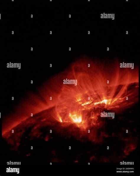 Sun plasma loops. Coloured ultraviolet TRACE sate- llite image of part ...