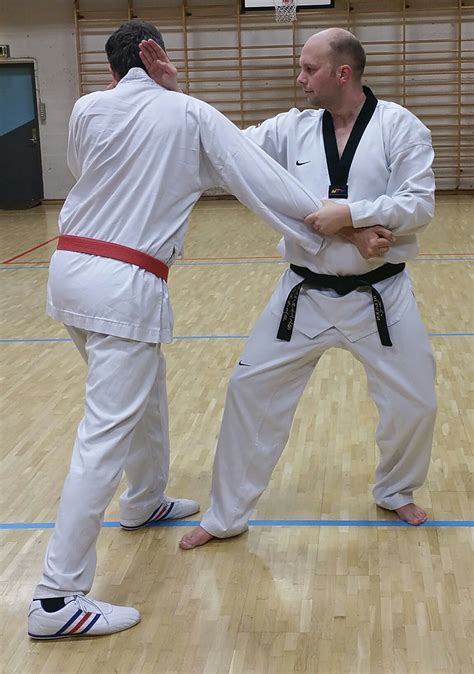 Traditional Taekwondo Ramblings: The importance of "Chambering"