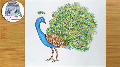 How To Draw A Peacock Step By - Deepcontrol3