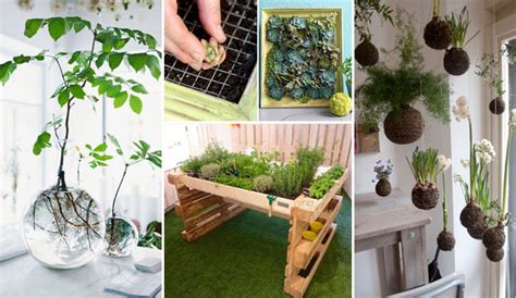 Awesome Indoor Mini Garden Ideas - DIYCraftsGuru