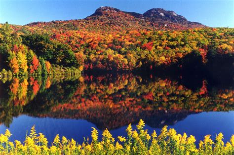 Grandfather Mountain | Blue ridge, Blue ridge mountains, Grandfather ...