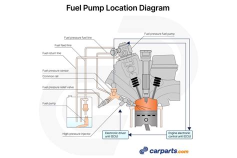 Where is the Fuel Pump Located? - In The Garage with CarParts.com