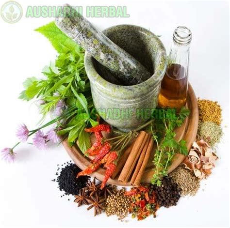 Aushadhi indian herbal extract - Aushadhi Herbal, Delhi, Delhi